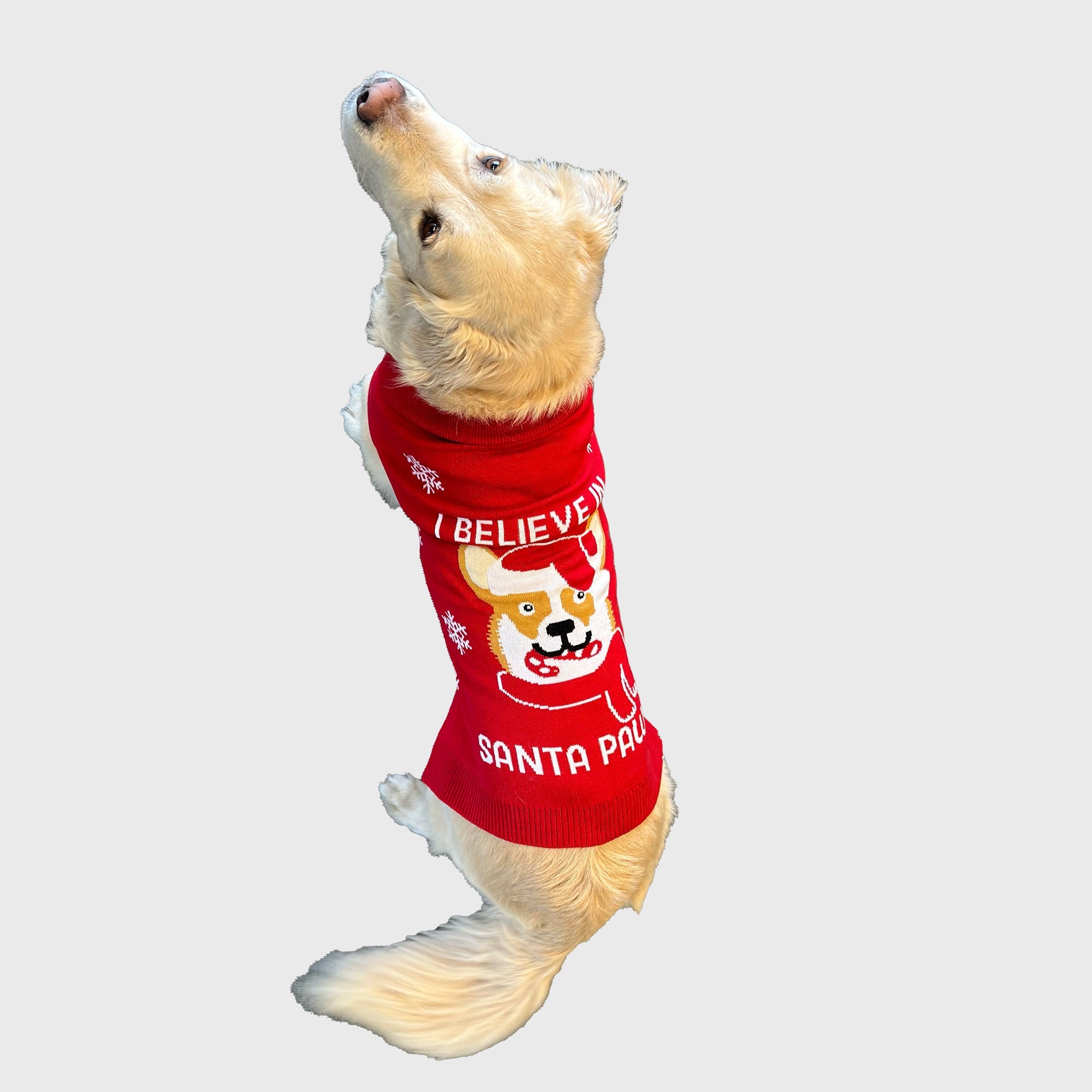 Santa paws julegenser til hund